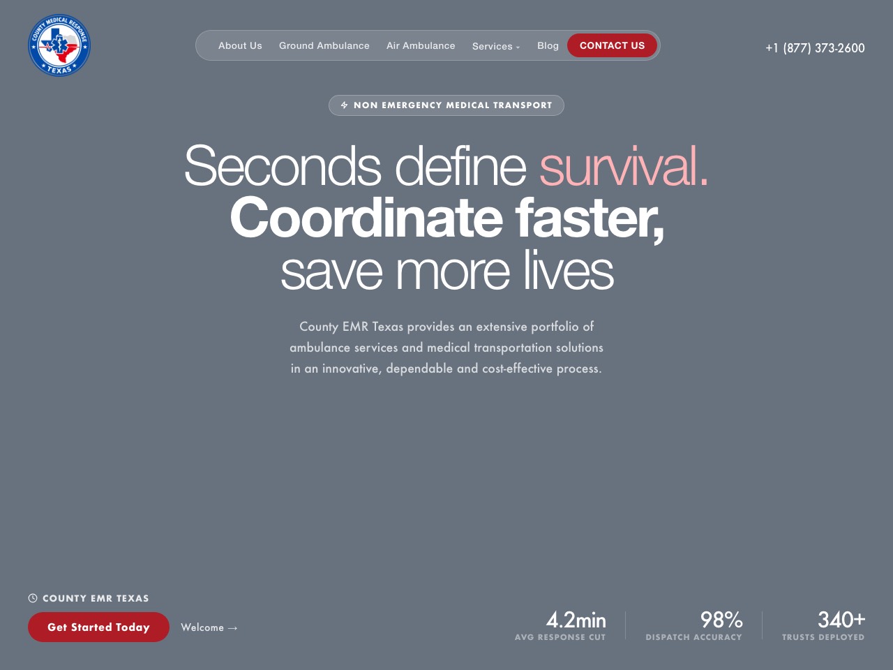 County EMR Texas website