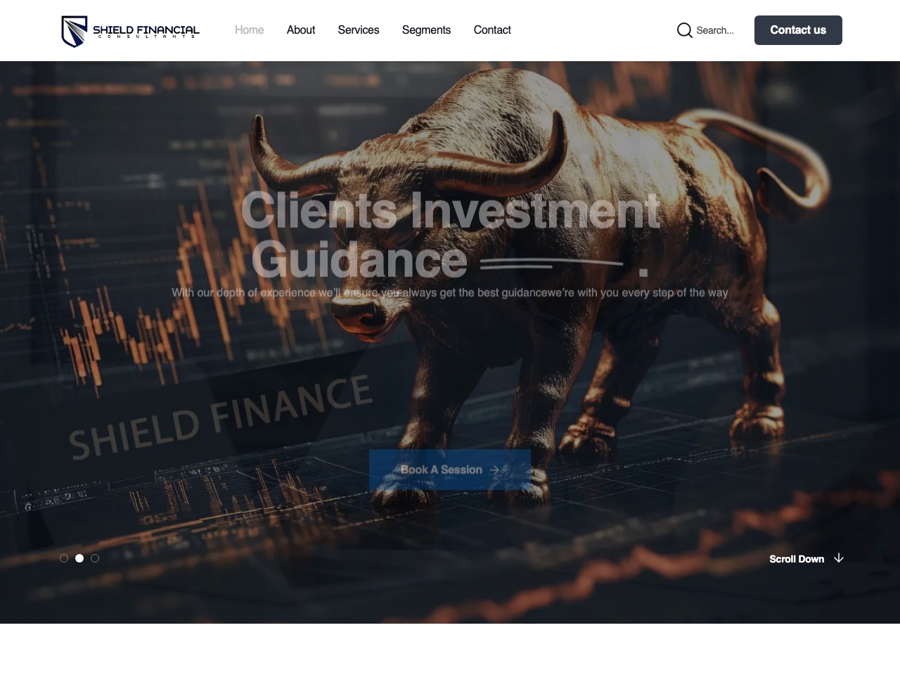 Shield Finance website designed by DPX